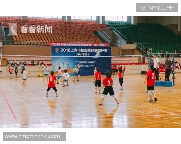 武汉排球队在杯赛中的比赛经验与表现分析