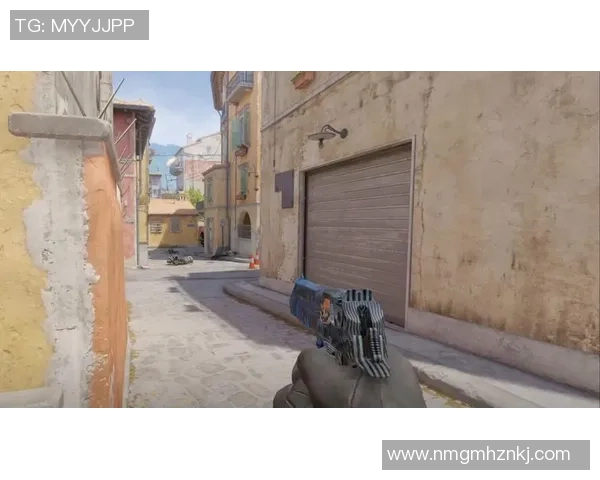 CS_GO评论：FPX的进攻得失